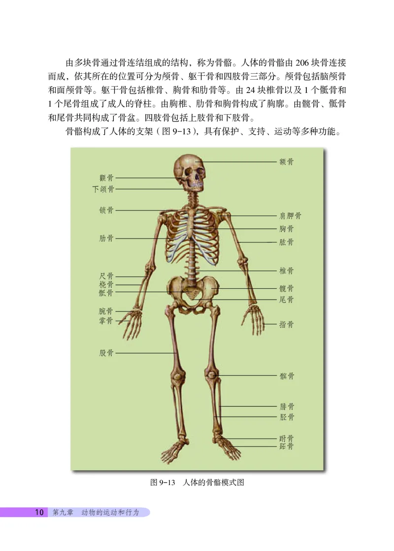 北京版8年级生物上册高清教材_4-教培资料-26年最新资料-同步更新_初中高中教资_03科三专项（进去保存报考的学科即可）_02科三专项（笔记真题思维导图教学设计版本二）