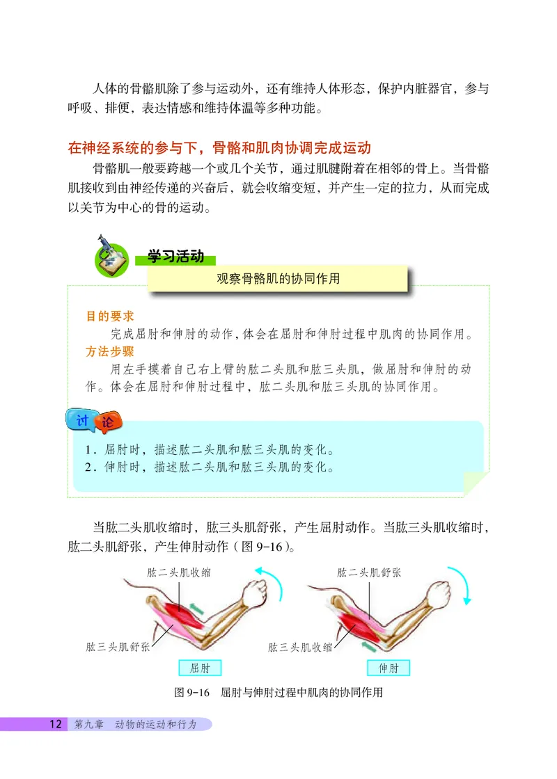 北京版8年级生物上册高清教材_4-教培资料-26年最新资料-同步更新_初中高中教资_03科三专项（进去保存报考的学科即可）_02科三专项（笔记真题思维导图教学设计版本二）