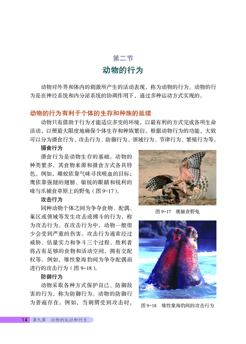 北京版8年级生物上册高清教材_4-教培资料-26年最新资料-同步更新_初中高中教资_03科三专项（进去保存报考的学科即可）_02科三专项（笔记真题思维导图教学设计版本二）