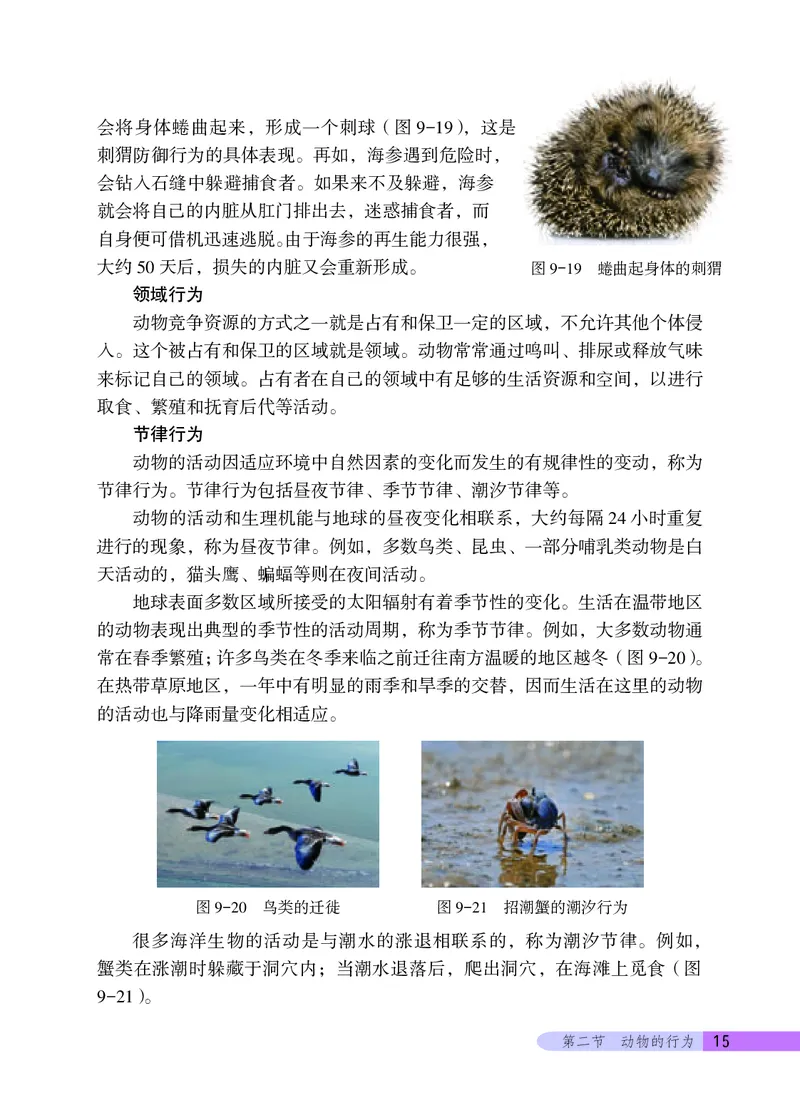 北京版8年级生物上册高清教材_4-教培资料-26年最新资料-同步更新_初中高中教资_03科三专项（进去保存报考的学科即可）_02科三专项（笔记真题思维导图教学设计版本二）