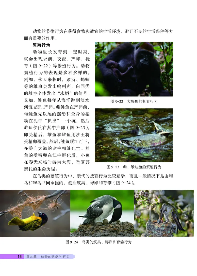 北京版8年级生物上册高清教材_4-教培资料-26年最新资料-同步更新_初中高中教资_03科三专项（进去保存报考的学科即可）_02科三专项（笔记真题思维导图教学设计版本二）