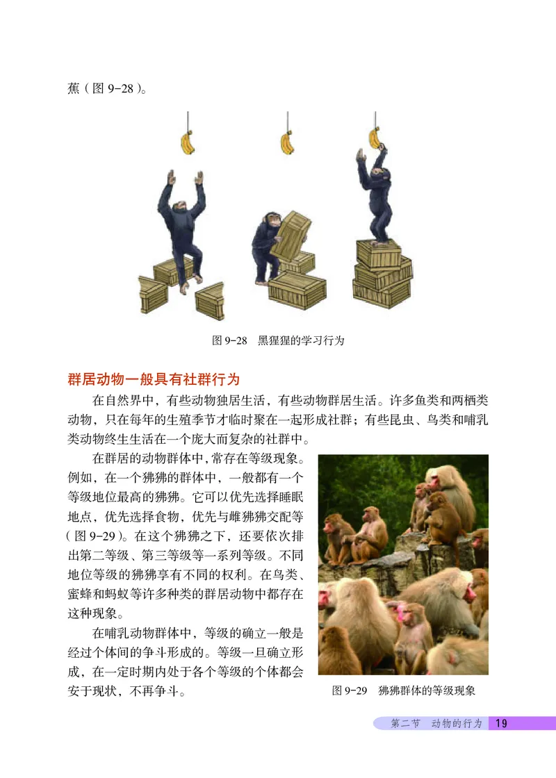 北京版8年级生物上册高清教材_4-教培资料-26年最新资料-同步更新_初中高中教资_03科三专项（进去保存报考的学科即可）_02科三专项（笔记真题思维导图教学设计版本二）