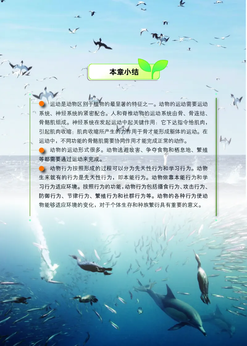 北京版8年级生物上册高清教材_4-教培资料-26年最新资料-同步更新_初中高中教资_03科三专项（进去保存报考的学科即可）_02科三专项（笔记真题思维导图教学设计版本二）