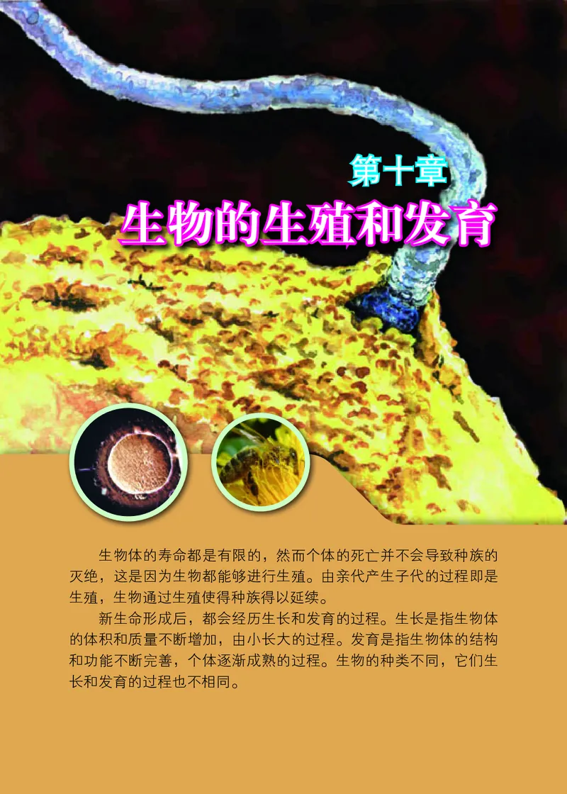 北京版8年级生物上册高清教材_4-教培资料-26年最新资料-同步更新_初中高中教资_03科三专项（进去保存报考的学科即可）_02科三专项（笔记真题思维导图教学设计版本二）