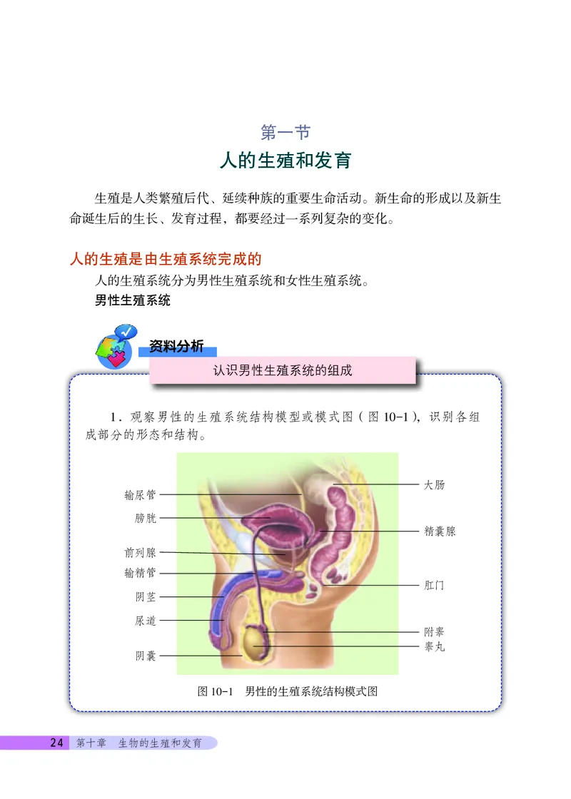 北京版8年级生物上册高清教材_4-教培资料-26年最新资料-同步更新_初中高中教资_03科三专项（进去保存报考的学科即可）_02科三专项（笔记真题思维导图教学设计版本二）