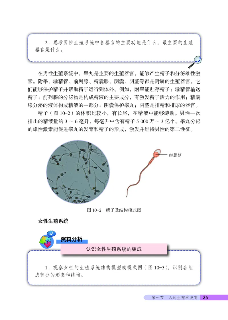 北京版8年级生物上册高清教材_4-教培资料-26年最新资料-同步更新_初中高中教资_03科三专项（进去保存报考的学科即可）_02科三专项（笔记真题思维导图教学设计版本二）