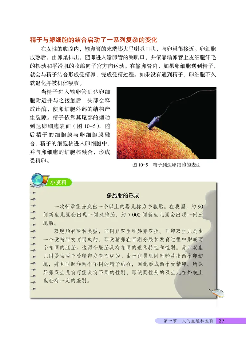 北京版8年级生物上册高清教材_4-教培资料-26年最新资料-同步更新_初中高中教资_03科三专项（进去保存报考的学科即可）_02科三专项（笔记真题思维导图教学设计版本二）