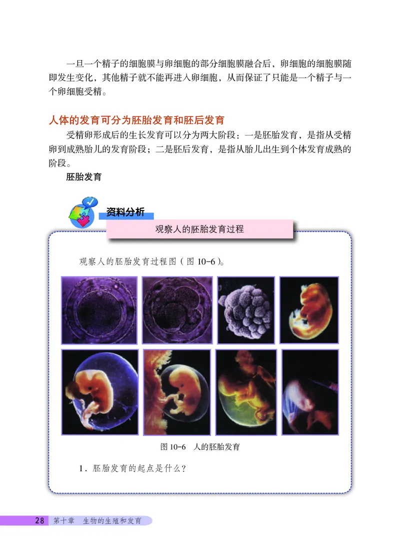 北京版8年级生物上册高清教材_4-教培资料-26年最新资料-同步更新_初中高中教资_03科三专项（进去保存报考的学科即可）_02科三专项（笔记真题思维导图教学设计版本二）