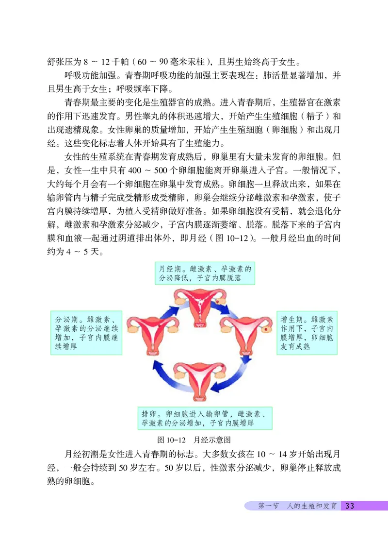 北京版8年级生物上册高清教材_4-教培资料-26年最新资料-同步更新_初中高中教资_03科三专项（进去保存报考的学科即可）_02科三专项（笔记真题思维导图教学设计版本二）