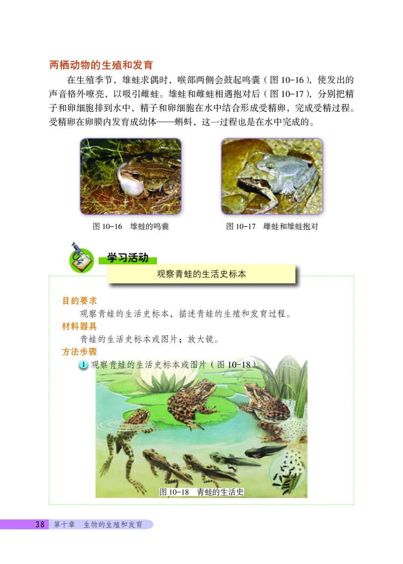 北京版8年级生物上册高清教材_4-教培资料-26年最新资料-同步更新_初中高中教资_03科三专项（进去保存报考的学科即可）_02科三专项（笔记真题思维导图教学设计版本二）