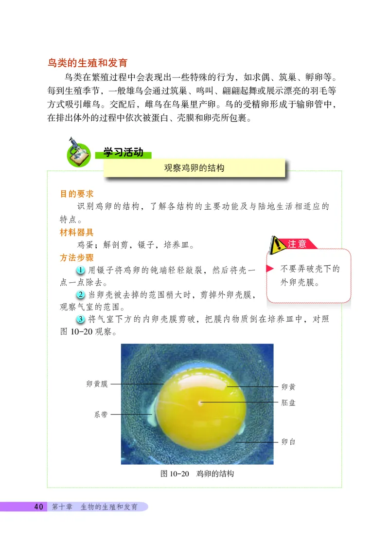 北京版8年级生物上册高清教材_4-教培资料-26年最新资料-同步更新_初中高中教资_03科三专项（进去保存报考的学科即可）_02科三专项（笔记真题思维导图教学设计版本二）