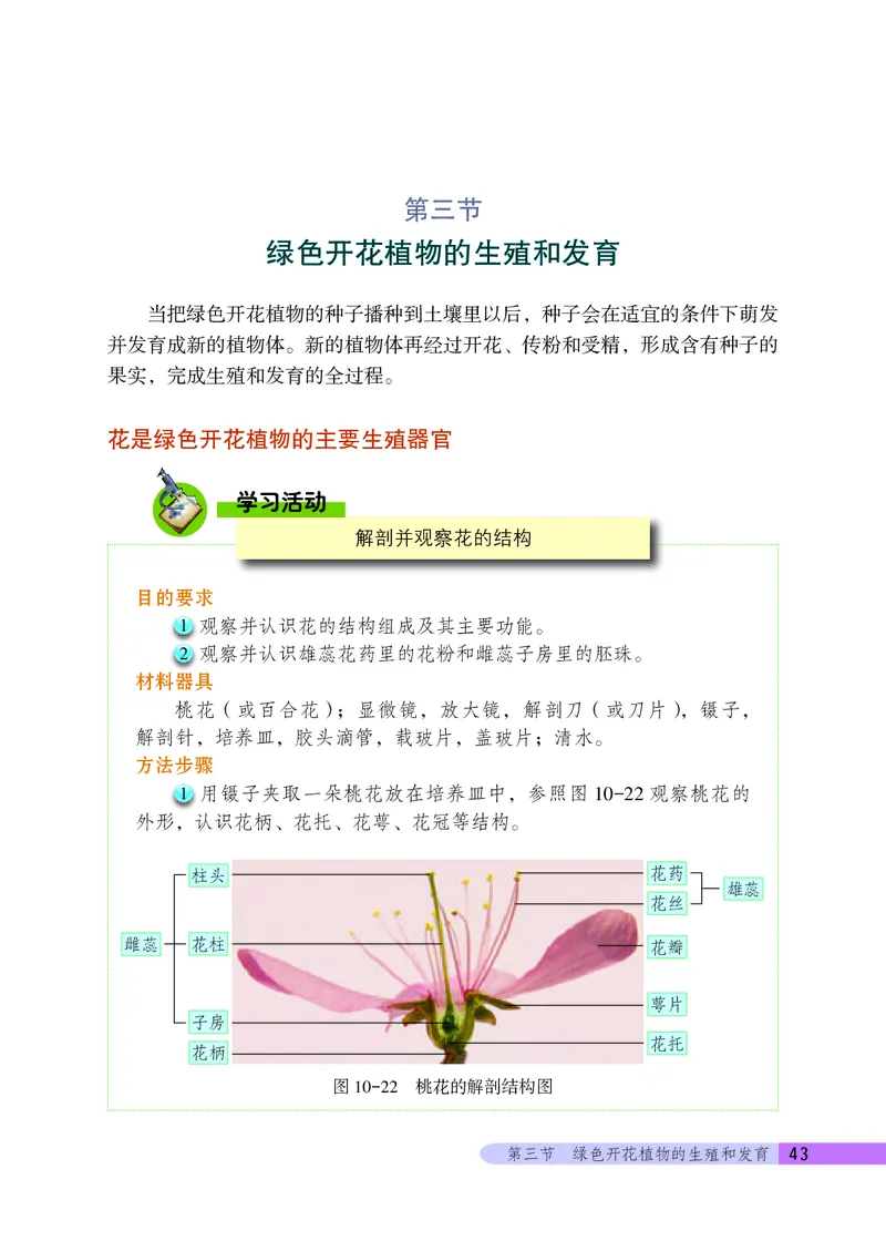 北京版8年级生物上册高清教材_4-教培资料-26年最新资料-同步更新_初中高中教资_03科三专项（进去保存报考的学科即可）_02科三专项（笔记真题思维导图教学设计版本二）