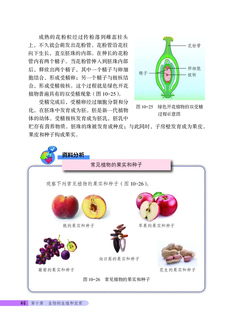 北京版8年级生物上册高清教材_4-教培资料-26年最新资料-同步更新_初中高中教资_03科三专项（进去保存报考的学科即可）_02科三专项（笔记真题思维导图教学设计版本二）