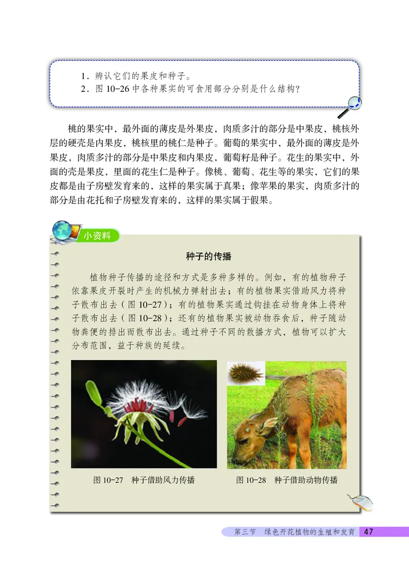 北京版8年级生物上册高清教材_4-教培资料-26年最新资料-同步更新_初中高中教资_03科三专项（进去保存报考的学科即可）_02科三专项（笔记真题思维导图教学设计版本二）