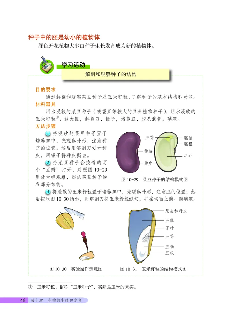 北京版8年级生物上册高清教材_4-教培资料-26年最新资料-同步更新_初中高中教资_03科三专项（进去保存报考的学科即可）_02科三专项（笔记真题思维导图教学设计版本二）
