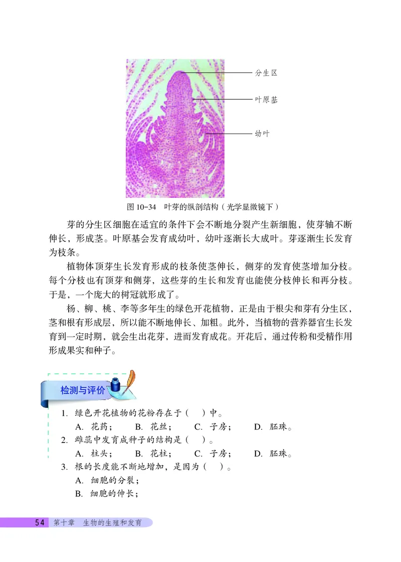 北京版8年级生物上册高清教材_4-教培资料-26年最新资料-同步更新_初中高中教资_03科三专项（进去保存报考的学科即可）_02科三专项（笔记真题思维导图教学设计版本二）