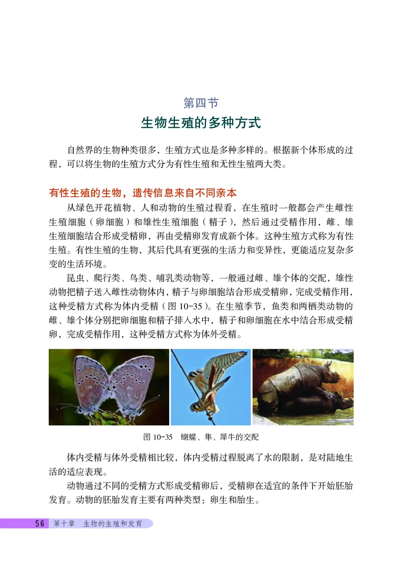 北京版8年级生物上册高清教材_4-教培资料-26年最新资料-同步更新_初中高中教资_03科三专项（进去保存报考的学科即可）_02科三专项（笔记真题思维导图教学设计版本二）