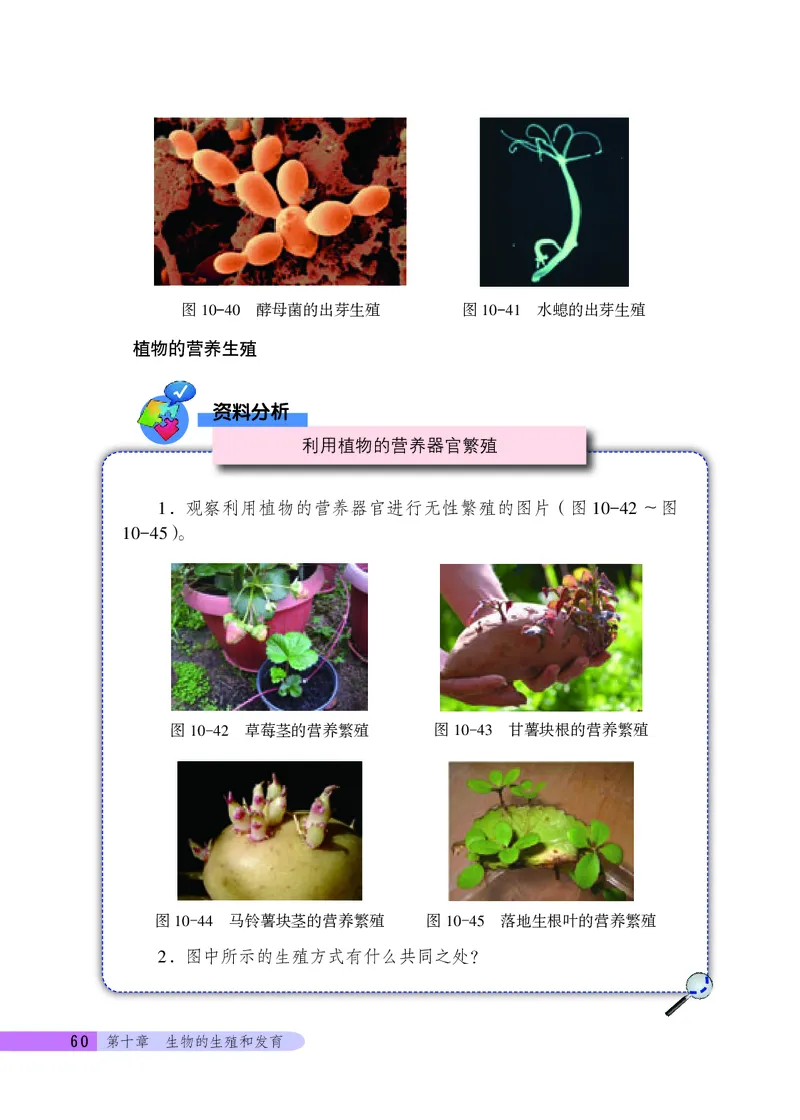 北京版8年级生物上册高清教材_4-教培资料-26年最新资料-同步更新_初中高中教资_03科三专项（进去保存报考的学科即可）_02科三专项（笔记真题思维导图教学设计版本二）
