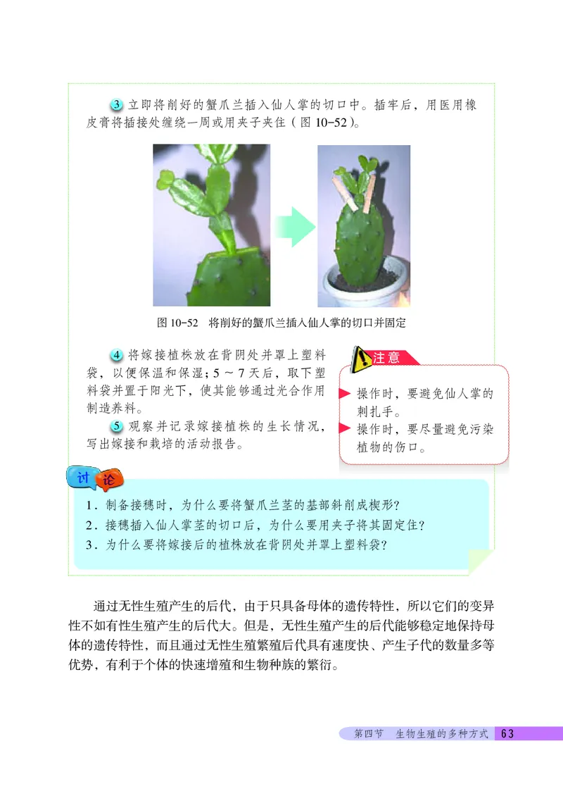 北京版8年级生物上册高清教材_4-教培资料-26年最新资料-同步更新_初中高中教资_03科三专项（进去保存报考的学科即可）_02科三专项（笔记真题思维导图教学设计版本二）