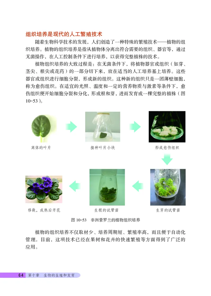 北京版8年级生物上册高清教材_4-教培资料-26年最新资料-同步更新_初中高中教资_03科三专项（进去保存报考的学科即可）_02科三专项（笔记真题思维导图教学设计版本二）