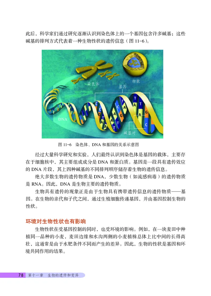 北京版8年级生物上册高清教材_4-教培资料-26年最新资料-同步更新_初中高中教资_03科三专项（进去保存报考的学科即可）_02科三专项（笔记真题思维导图教学设计版本二）