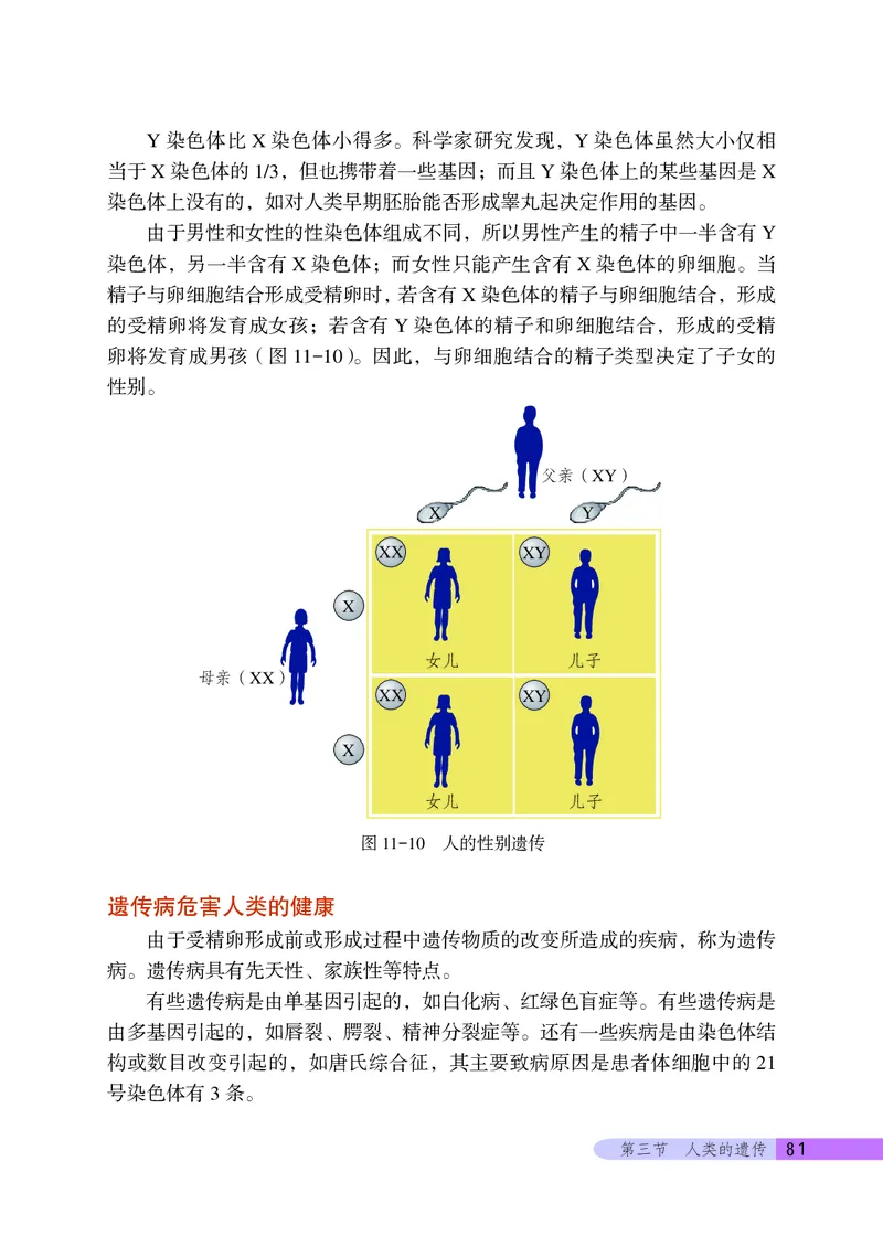 北京版8年级生物上册高清教材_4-教培资料-26年最新资料-同步更新_初中高中教资_03科三专项（进去保存报考的学科即可）_02科三专项（笔记真题思维导图教学设计版本二）
