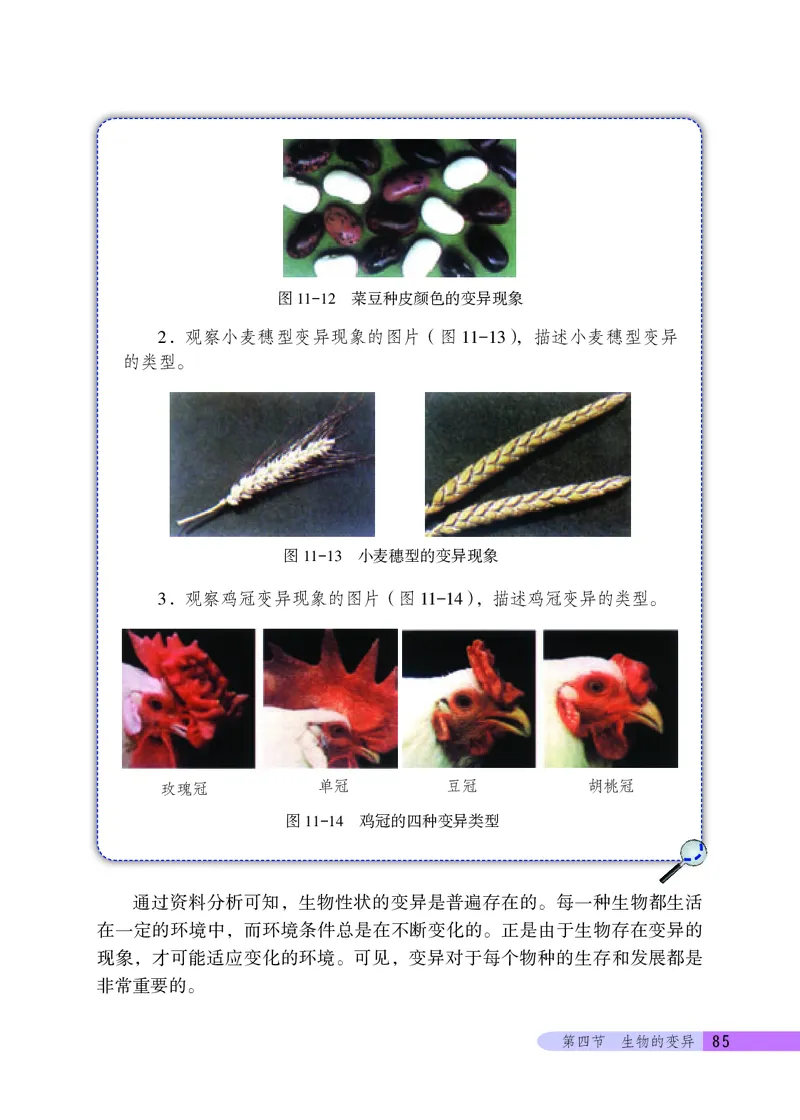 北京版8年级生物上册高清教材_4-教培资料-26年最新资料-同步更新_初中高中教资_03科三专项（进去保存报考的学科即可）_02科三专项（笔记真题思维导图教学设计版本二）