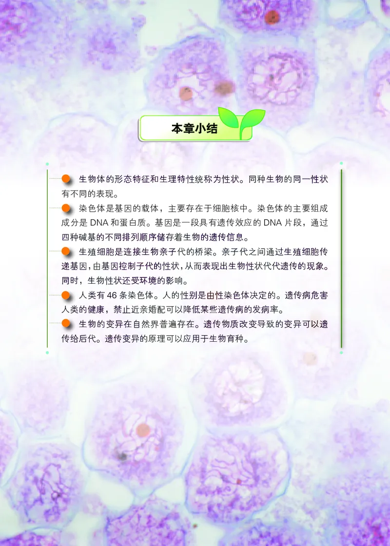 北京版8年级生物上册高清教材_4-教培资料-26年最新资料-同步更新_初中高中教资_03科三专项（进去保存报考的学科即可）_02科三专项（笔记真题思维导图教学设计版本二）