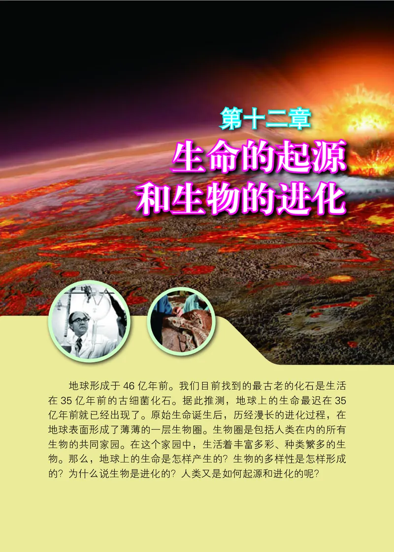北京版8年级生物上册高清教材_4-教培资料-26年最新资料-同步更新_初中高中教资_03科三专项（进去保存报考的学科即可）_02科三专项（笔记真题思维导图教学设计版本二）