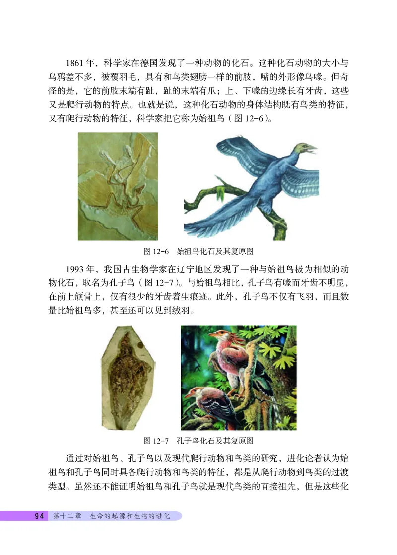 北京版8年级生物上册高清教材_4-教培资料-26年最新资料-同步更新_初中高中教资_03科三专项（进去保存报考的学科即可）_02科三专项（笔记真题思维导图教学设计版本二）