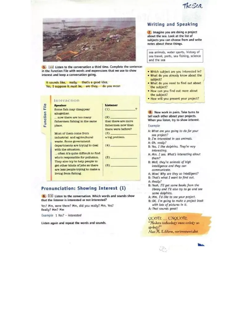 北师大版高中英语必修模块3电子课本_4-教培资料-26年最新资料-同步更新_初中高中教资_03科三专项（进去保存报考的学科即可）_02科三专项（笔记真题思维导图教学设计版本二）