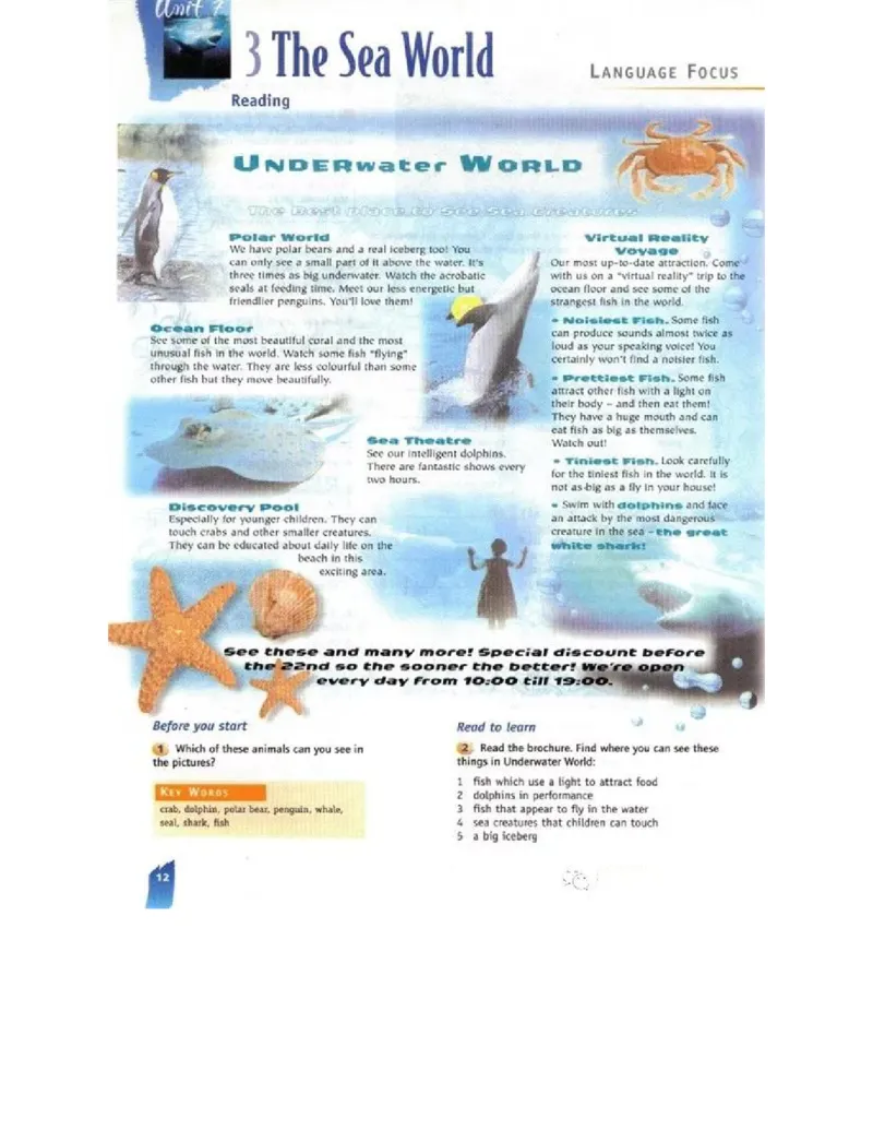 北师大版高中英语必修模块3电子课本_4-教培资料-26年最新资料-同步更新_初中高中教资_03科三专项（进去保存报考的学科即可）_02科三专项（笔记真题思维导图教学设计版本二）