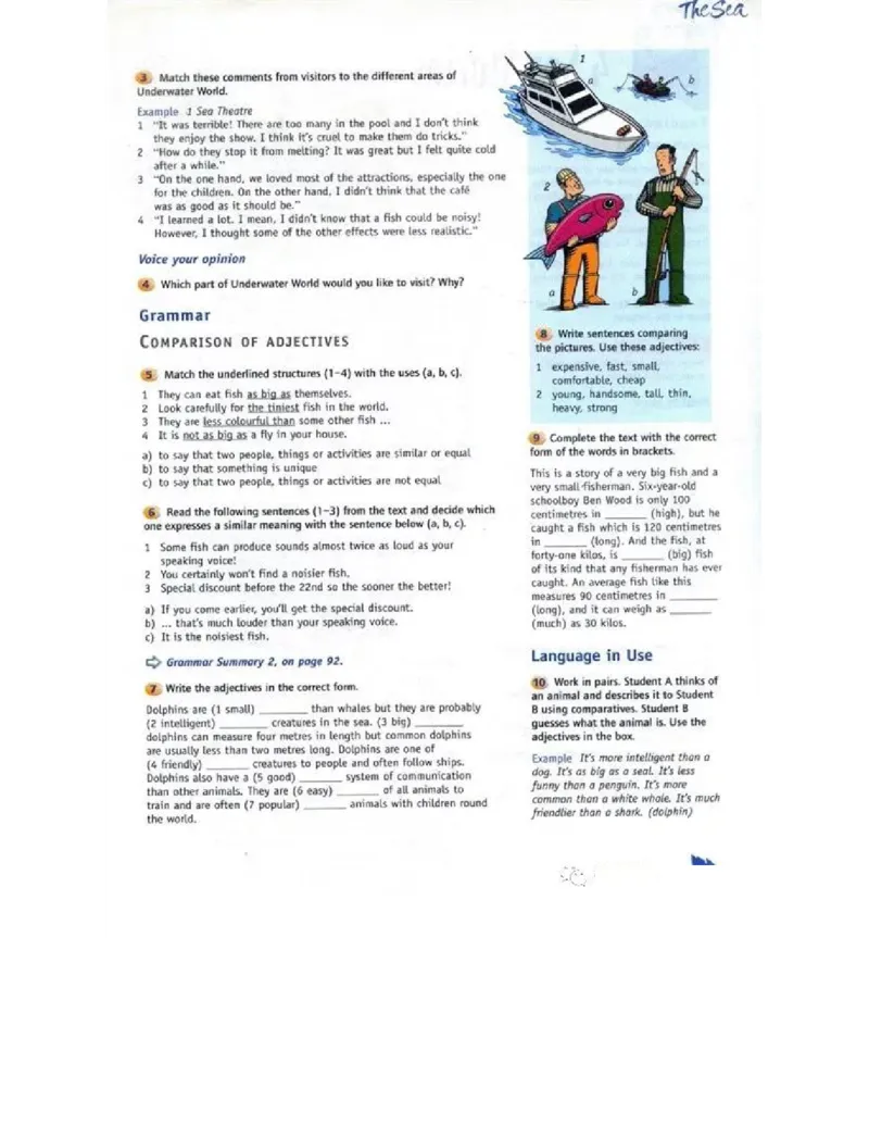 北师大版高中英语必修模块3电子课本_4-教培资料-26年最新资料-同步更新_初中高中教资_03科三专项（进去保存报考的学科即可）_02科三专项（笔记真题思维导图教学设计版本二）