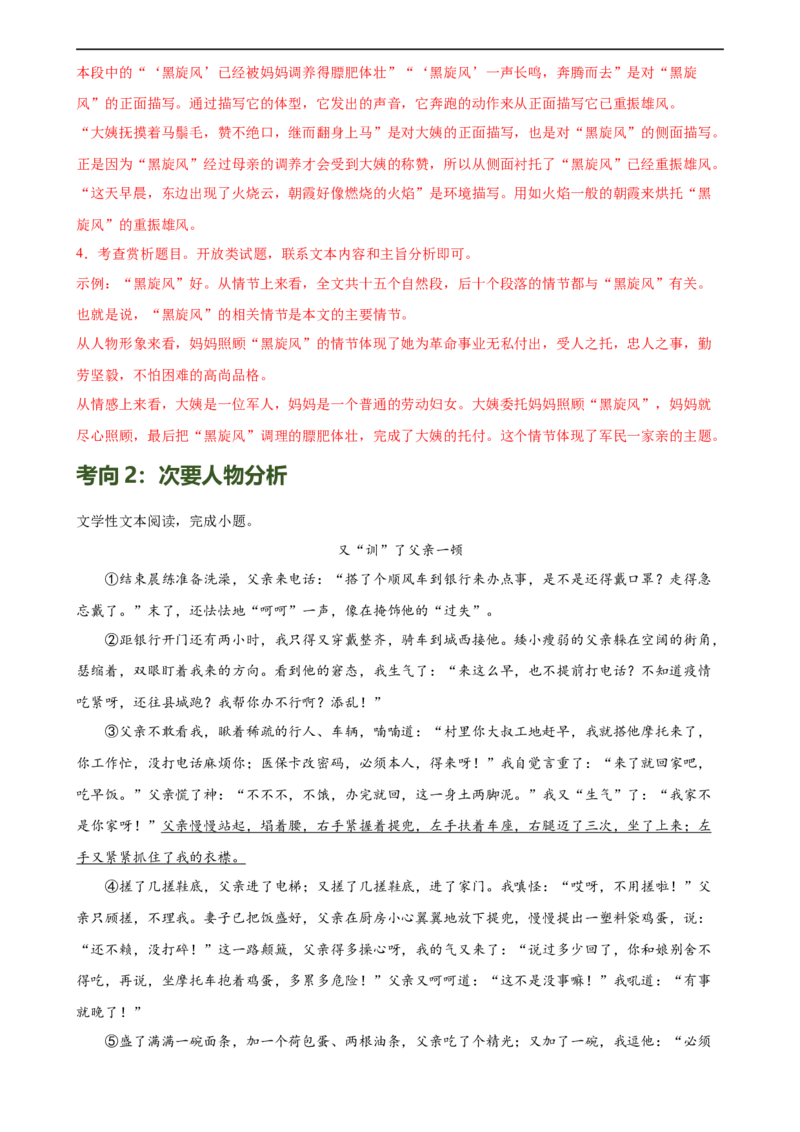 第21讲分析人物形象（练习）（全国通用）（解析版）_120中考语文全套复习_中考语文复习总复习_一轮复习资料_完2024年中考语文一轮复习课件+讲义+练习（全国通用）
