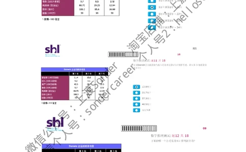 4-20160809-KPMG_11、SH-1汇总_11、SH-1汇总_按年份分类_2016年新题