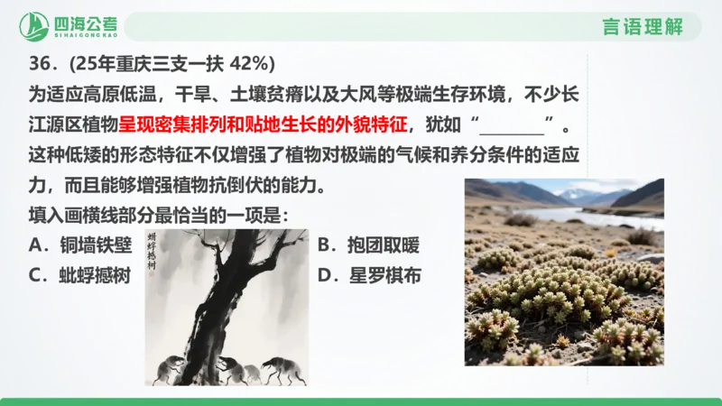 25下半年国考套卷一期卷3言语理解+数量关系_2026考公资料_（01）花生十三_02套题班2026年花生十三行测申论套题一期_行测（课程解析）⭐⭐⭐_PPT