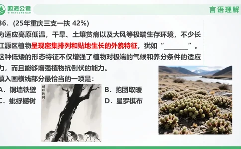 25下半年国考套卷一期卷3言语理解+数量关系_2026考公资料_（01）花生十三_02套题班2026年花生十三行测申论套题一期_行测（课程解析）⭐⭐⭐_PPT