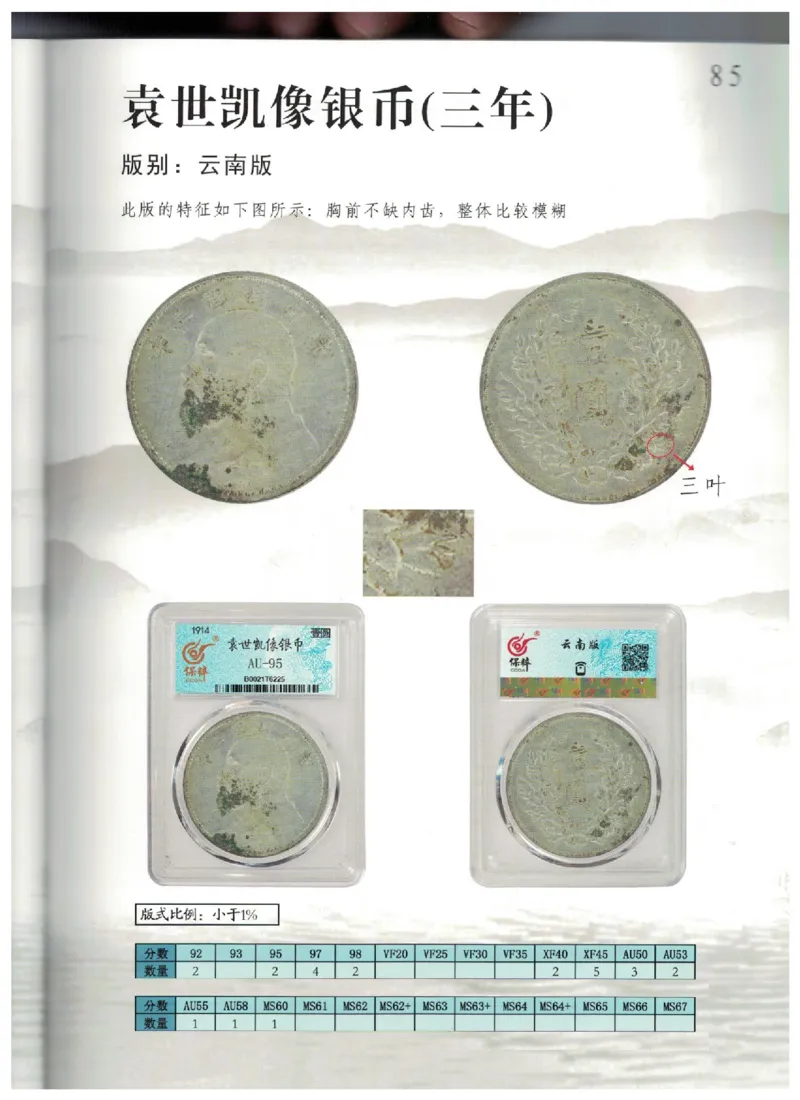 保粹《中国银币图录》_X017-奢侈品鉴定教程最新合集_5、寄卖行鉴定全套手册合集6套_银元古币鉴定资料