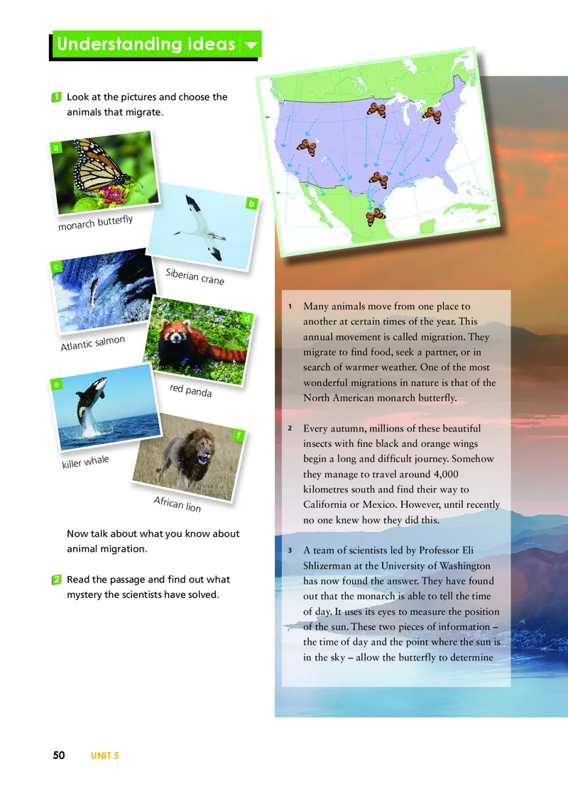 外研版英语必修第一册高清教材_4-教培资料-26年最新资料-同步更新_初中高中教资_03科三专项（进去保存报考的学科即可）_02科三专项（笔记真题思维导图教学设计版本二）