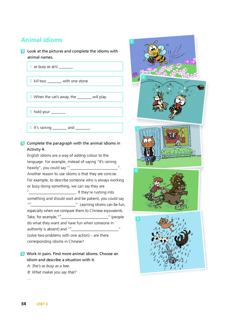 外研版英语必修第一册高清教材_4-教培资料-26年最新资料-同步更新_初中高中教资_03科三专项（进去保存报考的学科即可）_02科三专项（笔记真题思维导图教学设计版本二）