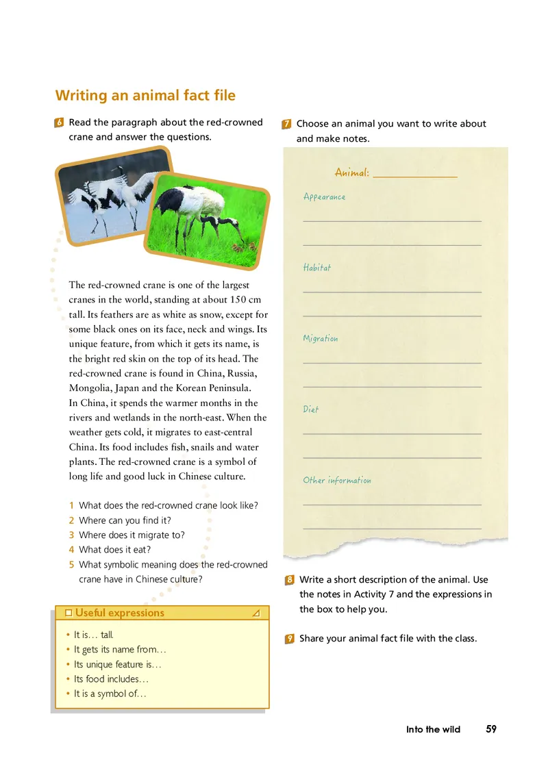 外研版英语必修第一册高清教材_4-教培资料-26年最新资料-同步更新_初中高中教资_03科三专项（进去保存报考的学科即可）_02科三专项（笔记真题思维导图教学设计版本二）