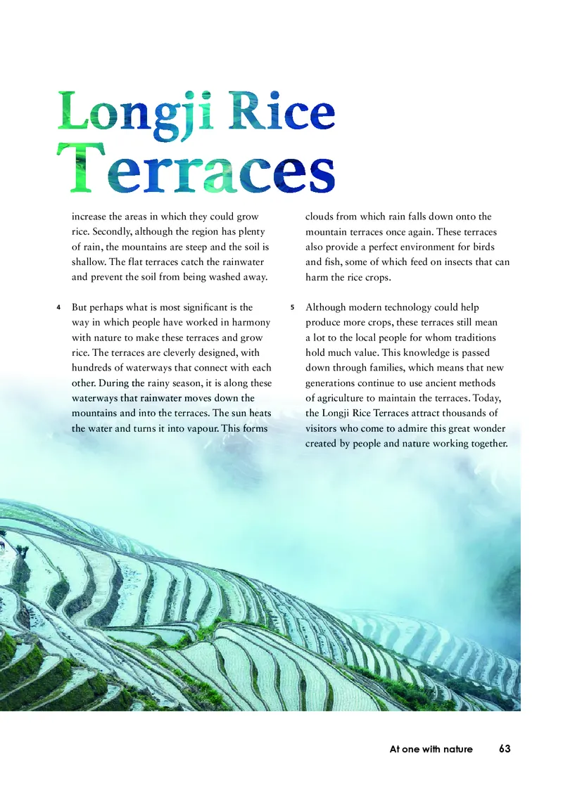 外研版英语必修第一册高清教材_4-教培资料-26年最新资料-同步更新_初中高中教资_03科三专项（进去保存报考的学科即可）_02科三专项（笔记真题思维导图教学设计版本二）