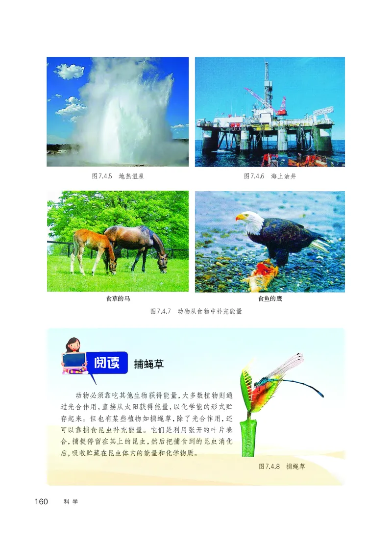 华师大9年级科学上册高清教材_4-教培资料-26年最新资料-同步更新_初中高中教资_03科三专项（进去保存报考的学科即可）_02科三专项（笔记真题思维导图教学设计版本二）