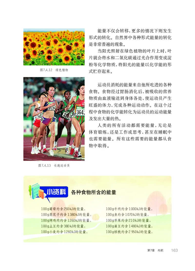 华师大9年级科学上册高清教材_4-教培资料-26年最新资料-同步更新_初中高中教资_03科三专项（进去保存报考的学科即可）_02科三专项（笔记真题思维导图教学设计版本二）