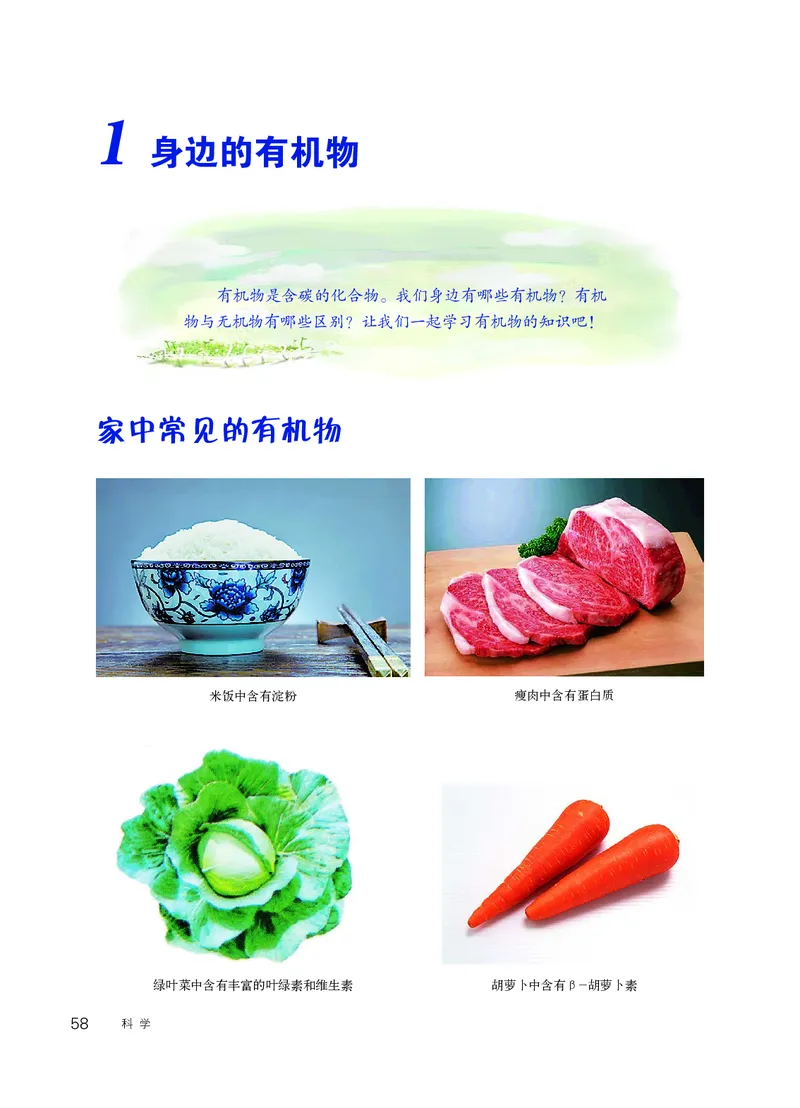 华师大9年级科学上册高清教材_4-教培资料-26年最新资料-同步更新_初中高中教资_03科三专项（进去保存报考的学科即可）_02科三专项（笔记真题思维导图教学设计版本二）