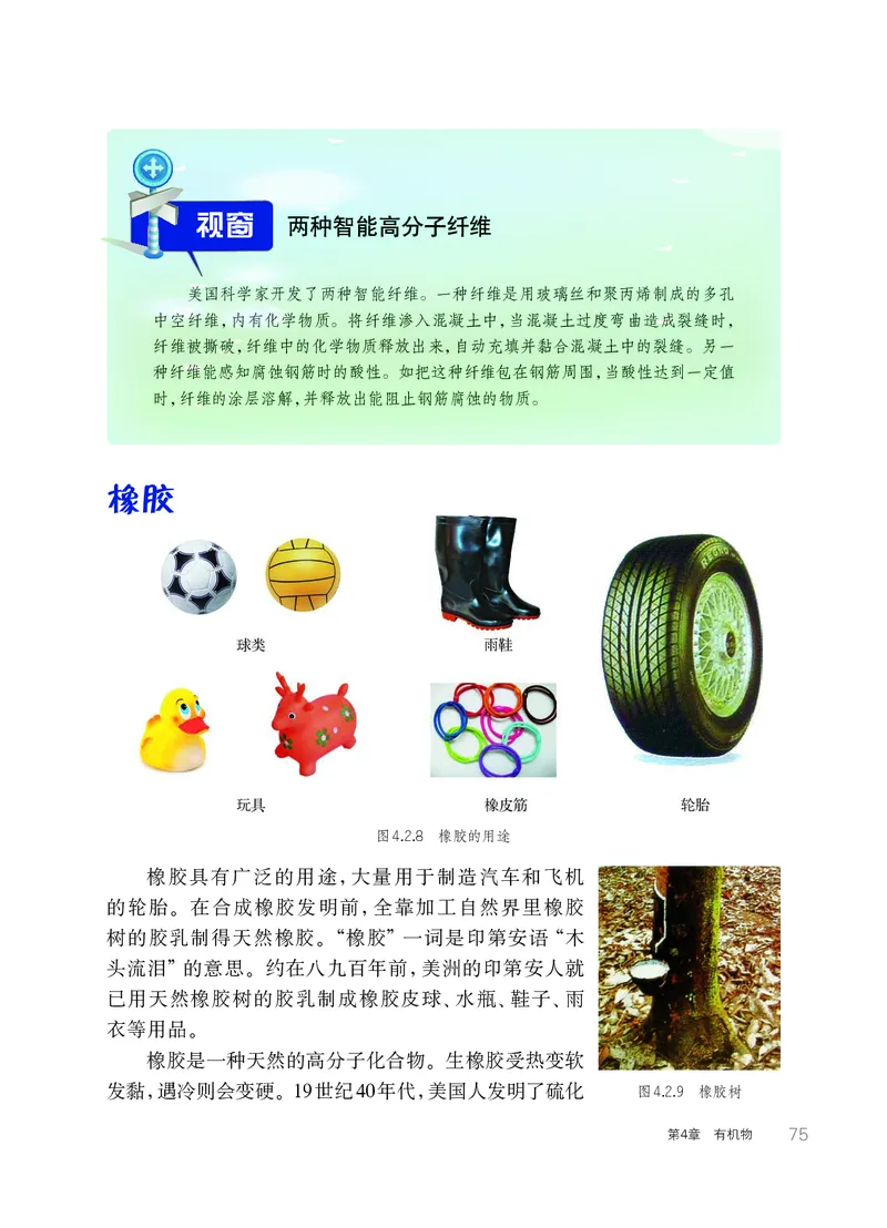 华师大9年级科学上册高清教材_4-教培资料-26年最新资料-同步更新_初中高中教资_03科三专项（进去保存报考的学科即可）_02科三专项（笔记真题思维导图教学设计版本二）