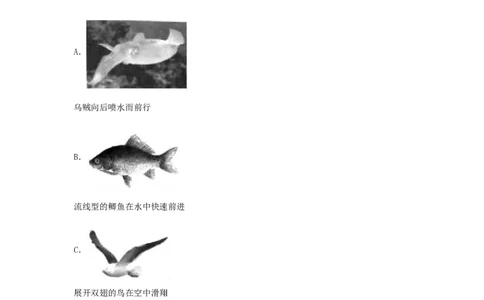 2017浙江省台州市中考物理真题及答案_中考真题_4.物理中考真题2015-2024年_地区卷_浙江省_浙江台州物理13-20缺15