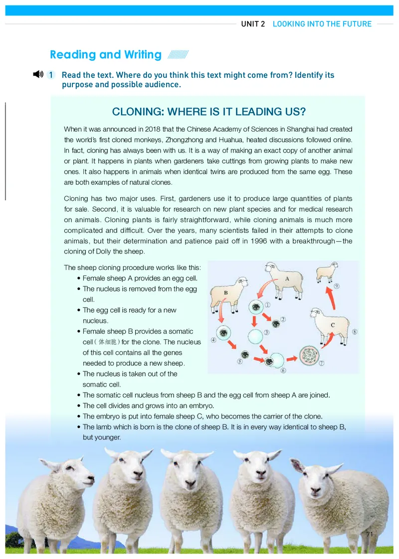 人教版英语选修第一册高清教材_4-教培资料-26年最新资料-同步更新_初中高中教资_03科三专项（进去保存报考的学科即可）_02科三专项（笔记真题思维导图教学设计版本二）