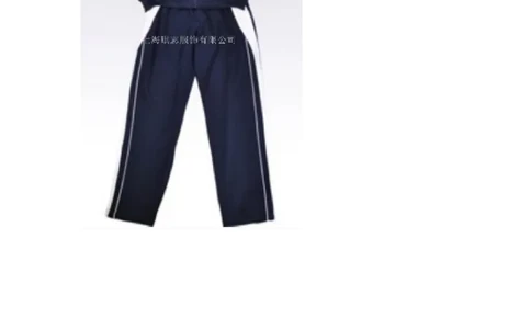 2017年新疆维吾尔自治区中考英语试卷及解析_中考真题_3.英语中考真题2015-2024年_地区卷_新疆_新疆建设兵团英语10-22