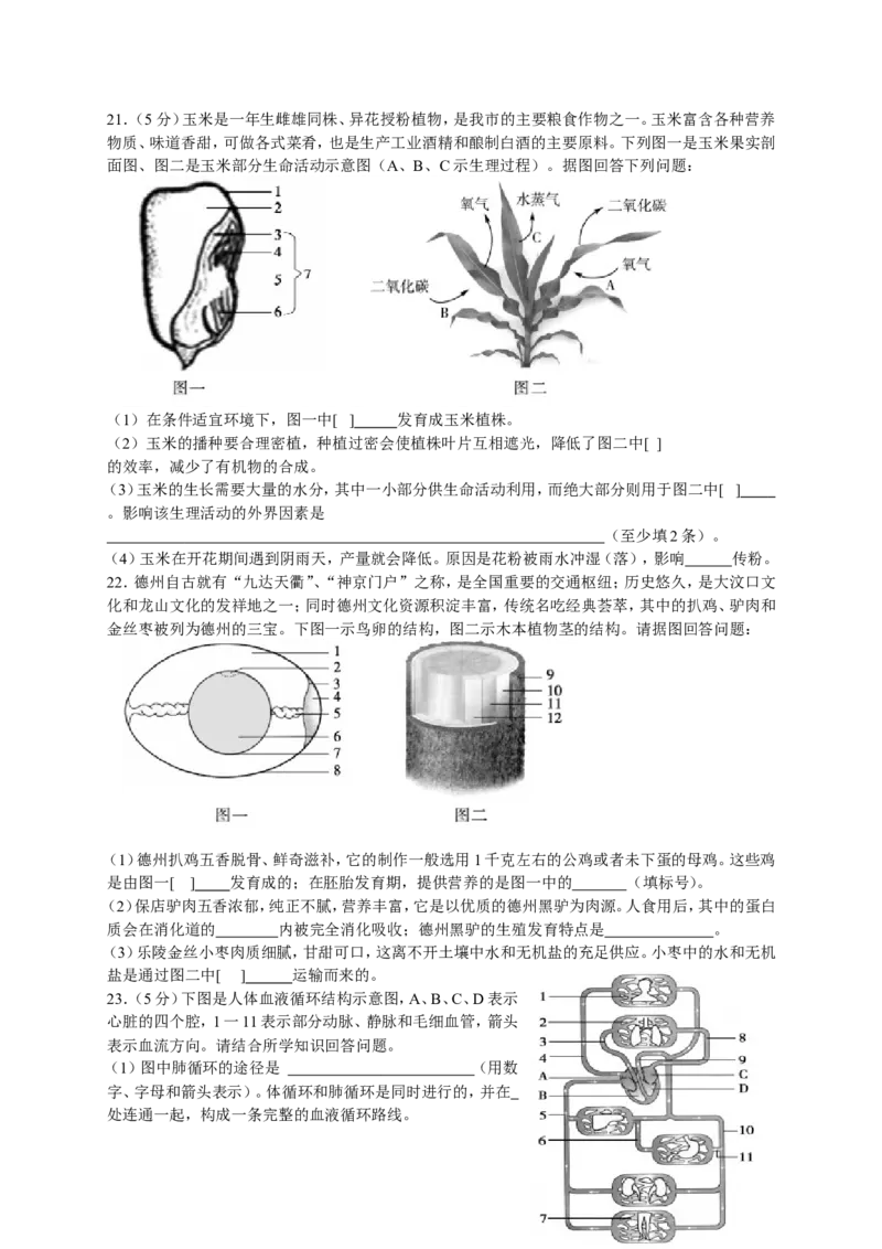 2017年德州市中考生物试题及答案_中考真题_8.生物中考真题2015-2024年_地区卷_山东省_山东德州生物11-20